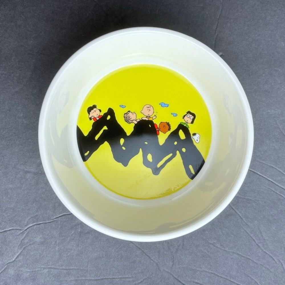 PEANUTS Stoneware Pet Bowl Snoopy and Charlie Brown 5 in White Blue Yellow Black